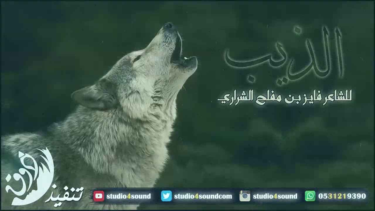 قصيده في الذيب , قصائد عن الذئب تحفة