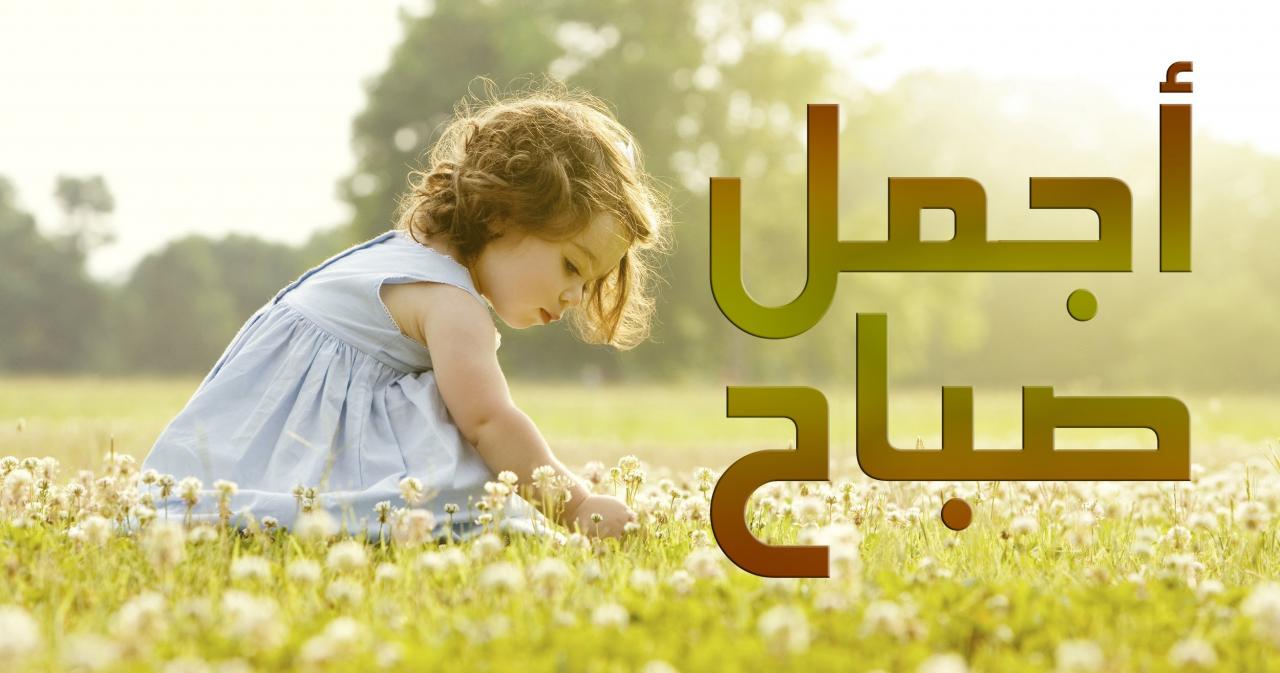 كلام عن الصباح للحبيب - اسعد من تحب صباحا باجمل الكلمات 3638 3