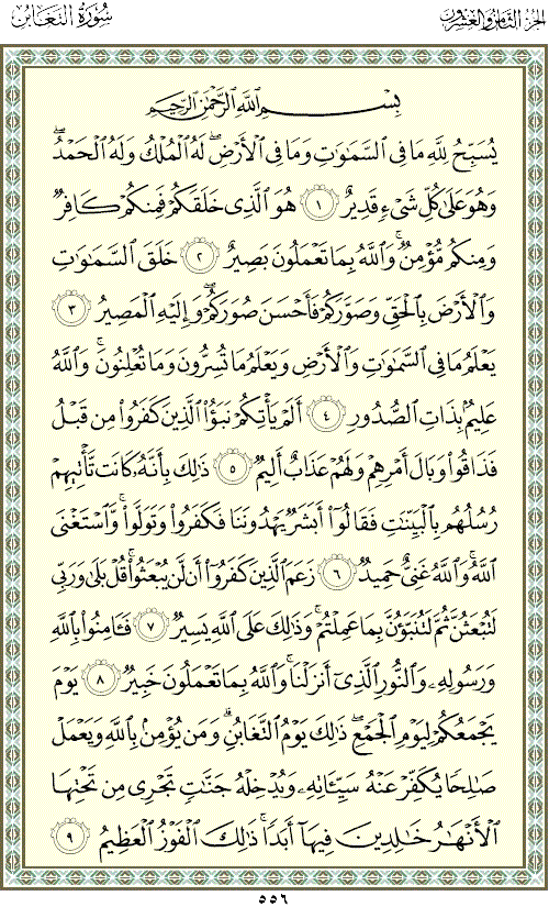 معنى كلمة التغابن - التغابن مكية و لا مدنية 1574