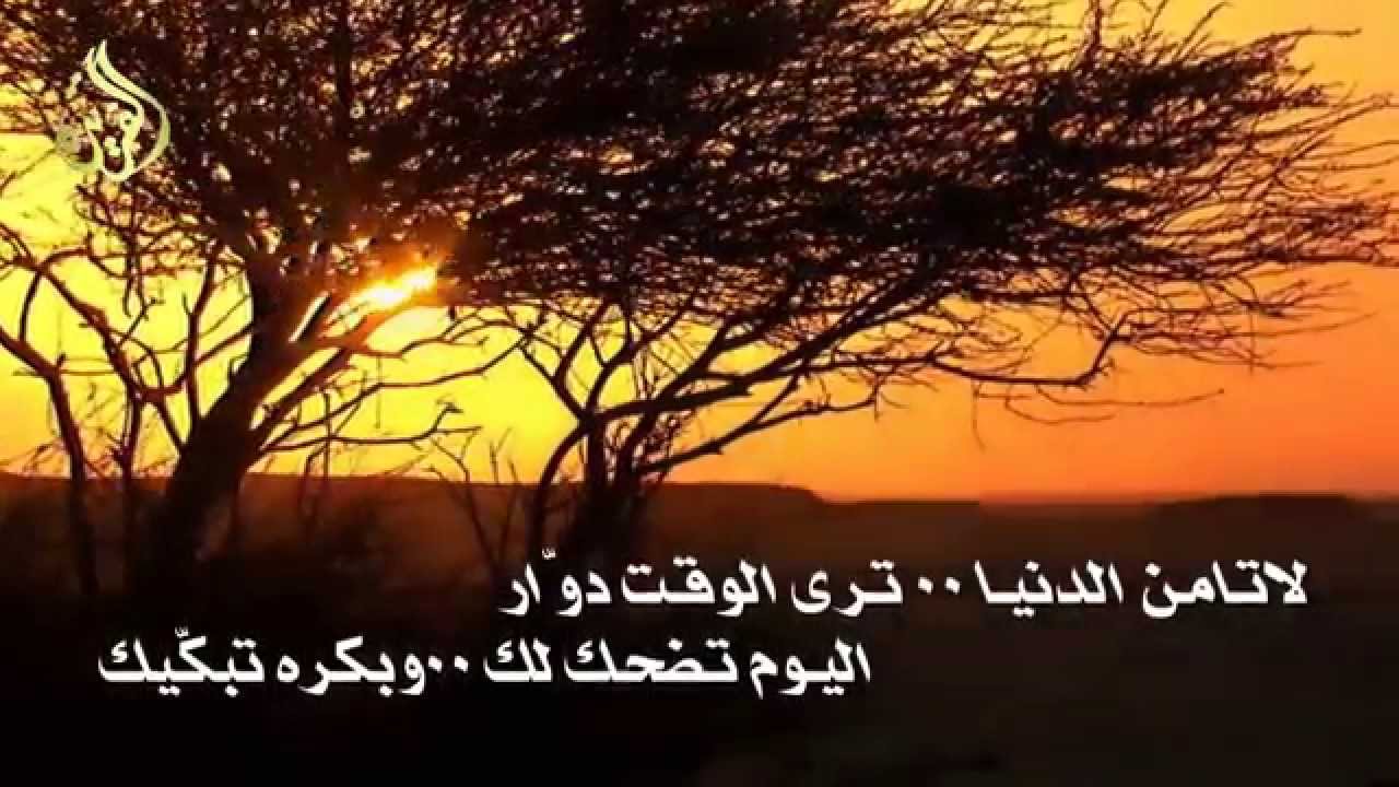 كلام عن الدنيا والناس , خواطر عن الحياة والبشر