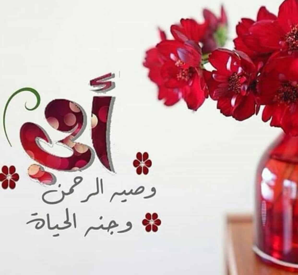 خواطر عن حب الام - كلمات في حب الام 2646 10