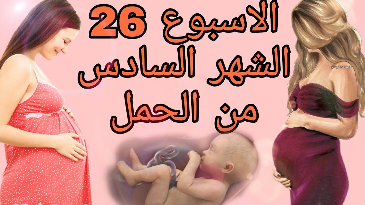 الاسبوع 26 من الحمل- ماذا يحدث في اواخر الحمل سبحان الله 3555 1