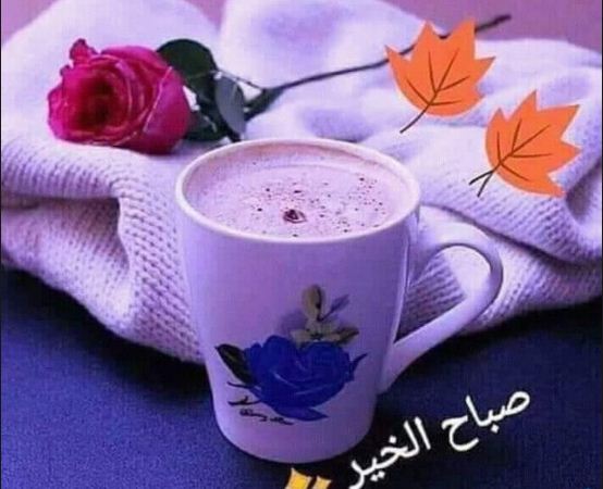 صباح الخير - رمزيات صباحيه للواتس اب 2981 2