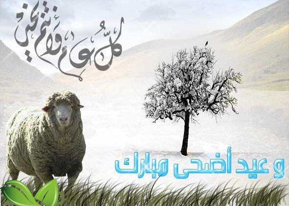 ثانى الاعياد المباركة - موضوع تعبير عن عيد الاضحى 6322 2