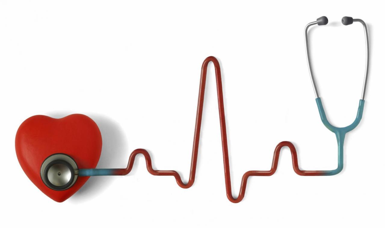 سبب سرعة دقات القلب - تغيرات جسمانية تزيد من سرعة دقات القلب 6709