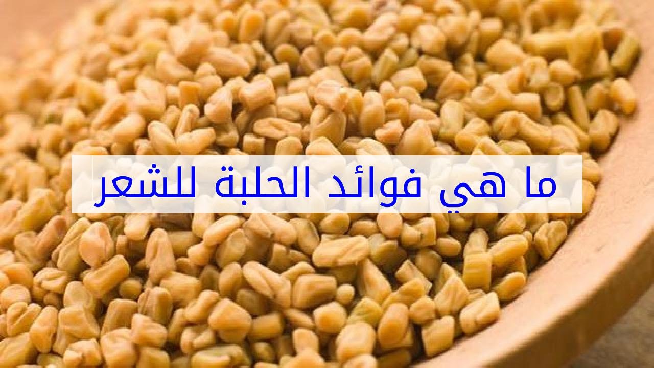 فوائد الحلبة للشعر , وصفة رائعة للشعر