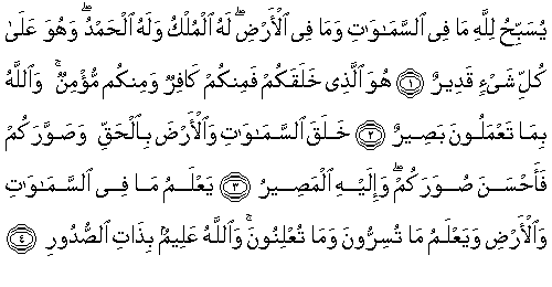 معنى كلمة التغابن - التغابن مكية و لا مدنية 1574 1