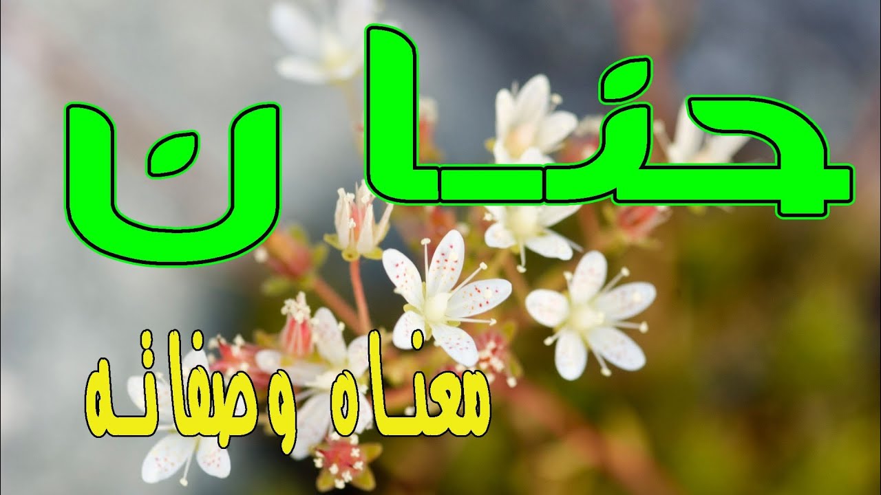 اسم حنان بالصور - لكل من لديه حنان في حياته اسعدها بتلك الصور 6356 9