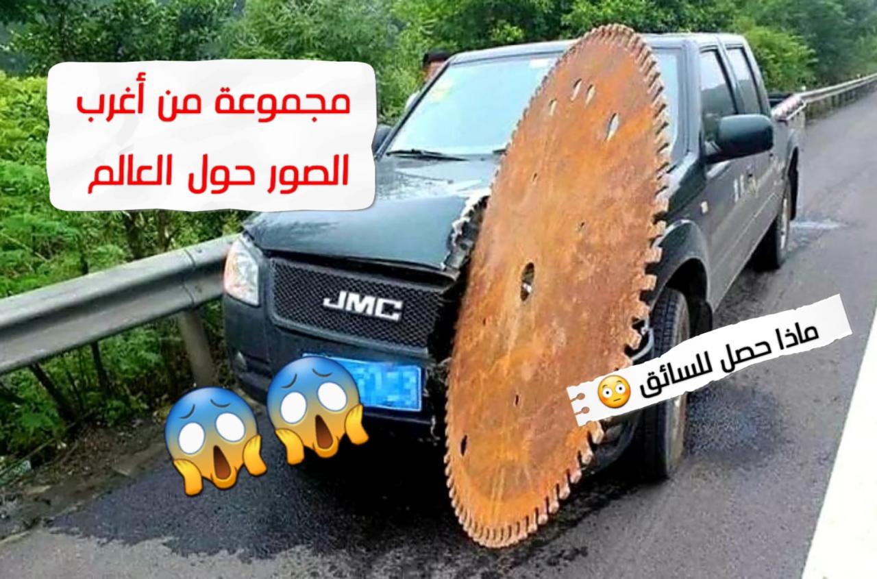 غرائب وعجائب الصور - صور غريبة تحفة 3472