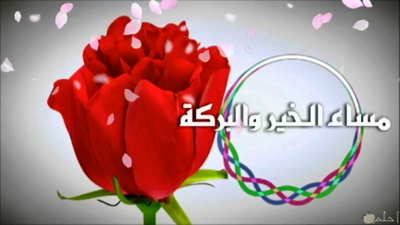 صور مساء وصباح الخير - صور لعبارات الصباح والمساء 3630 4