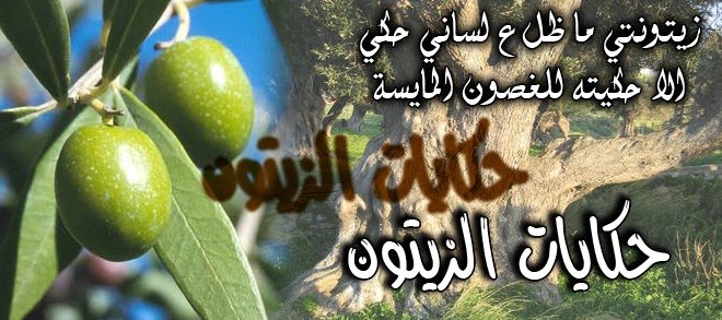 قصيدة عن الزيتون - اشعار عن الزيتون تحفة 4078