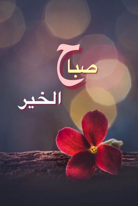 كلام جميل عن الصباح - صباح الفل والجمال علي عيونك الحلوين 3415 10