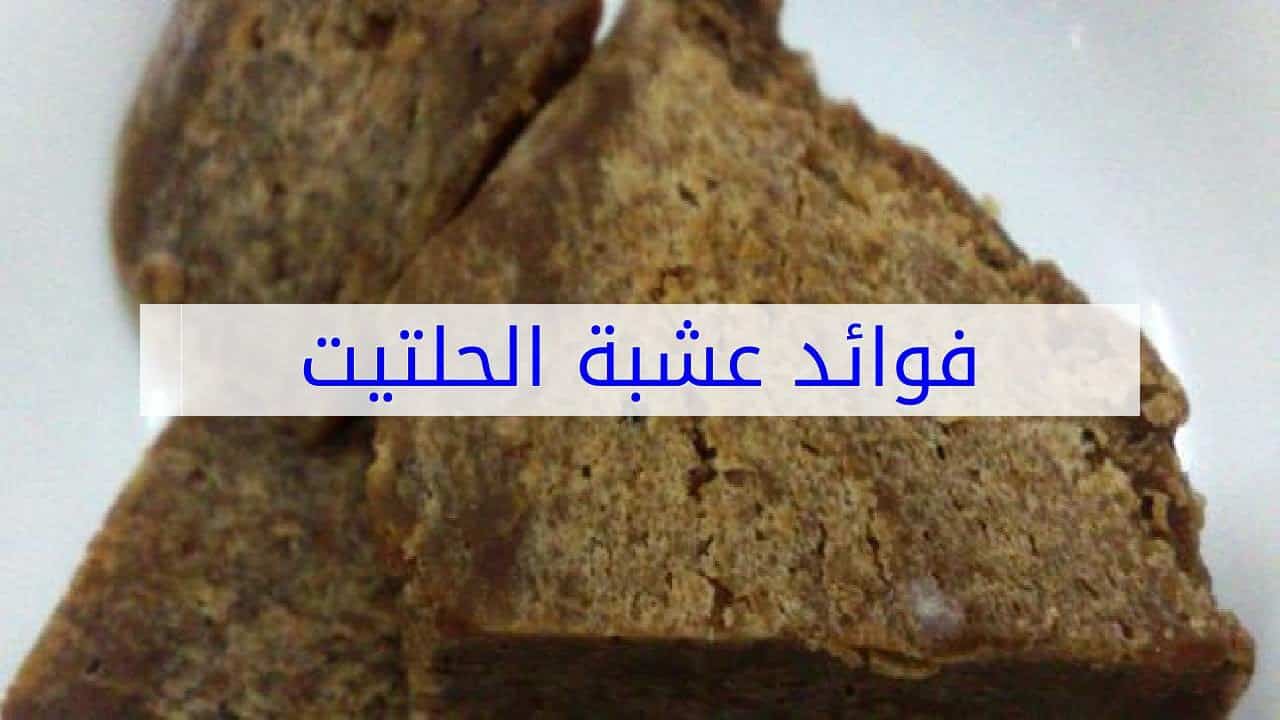 فوائد الحلتيت للحمل , معلومات خطيرة عن الحلتيت