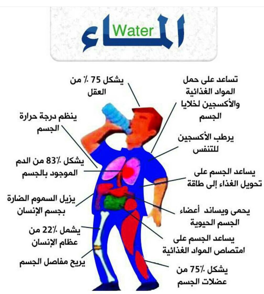 فوائد شرب الماء , اهميه المياه لصحه الانسان