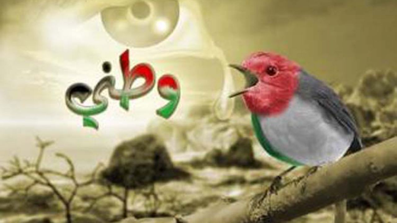 حكم عن حب الوطن - كلمات حلوة اوي هم الوطن 3891 9